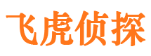 平安市侦探公司